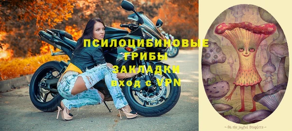 круглые Алзамай