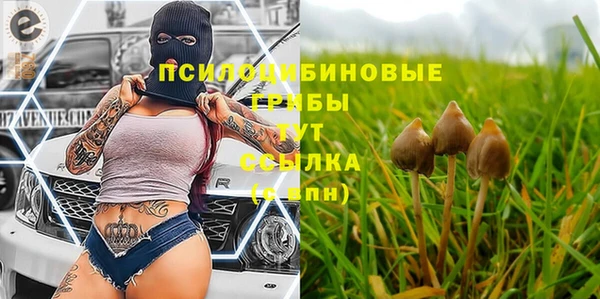 ALPHA-PVP Алексеевка